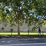 Casa Nonna Tina A 700 M Dalla Torre Di Pisa